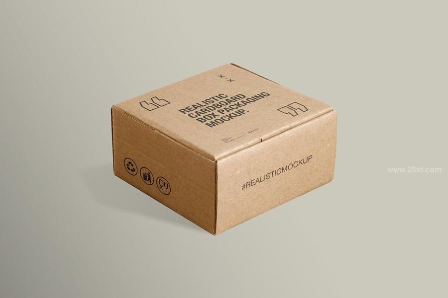 25xt-163368 Cardboard-Box-Packaging-Mockupz9.jpg