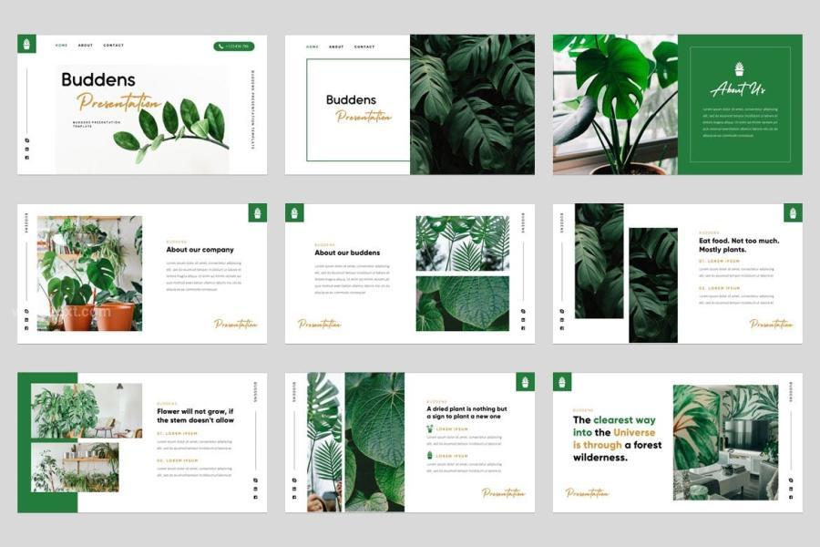 25xt-163020 Buddens---Minimalism-Tropical-Powerpoint-Templatez6.jpg