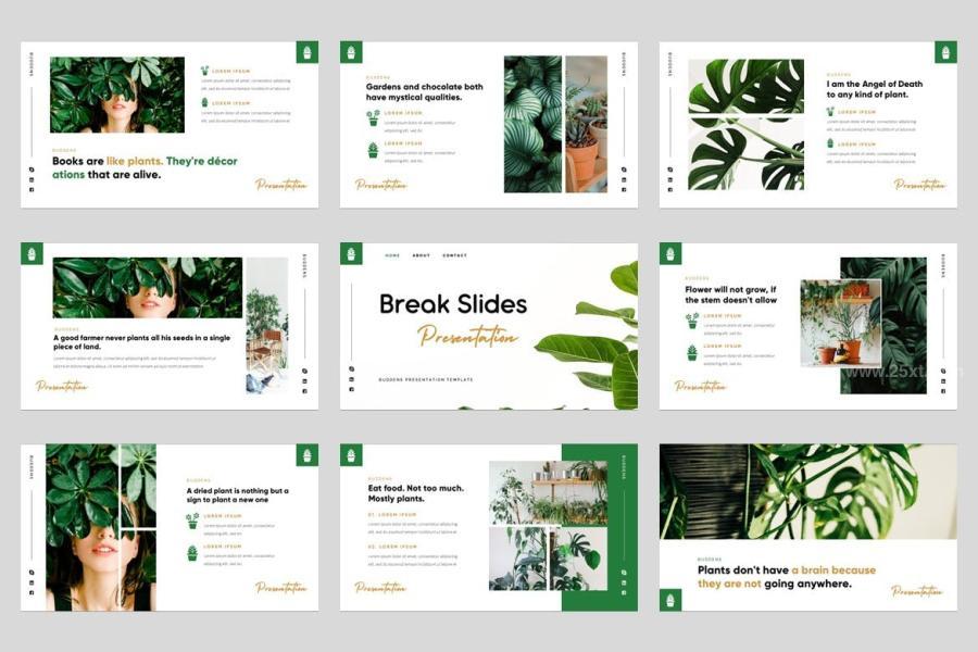 25xt-163020 Buddens---Minimalism-Tropical-Powerpoint-Templatez7.jpg