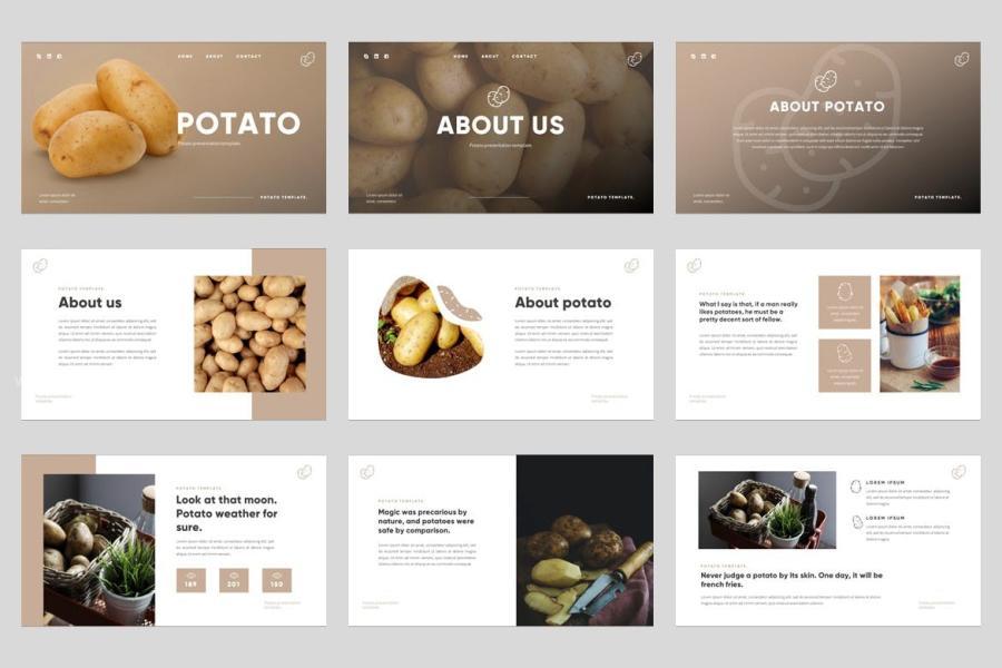 25xt-163024 Potato-Grocery--Organic-Food-Powerpoint-Templatez5.jpg