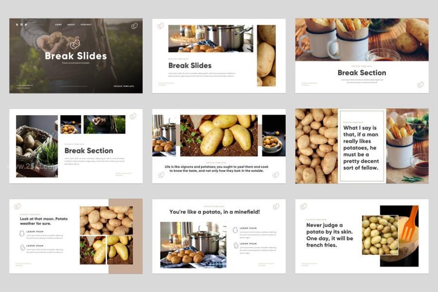 25xt-163024 Potato-Grocery--Organic-Food-Powerpoint-Templatez7.jpg