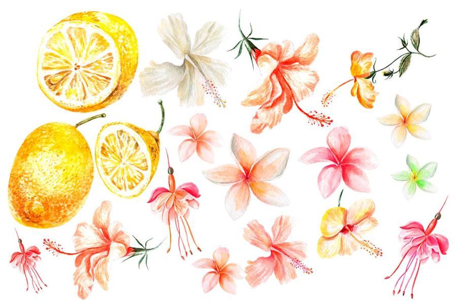 25xt-163576 Hand-Drawn-Watercolor-TROPICSz4.jpg