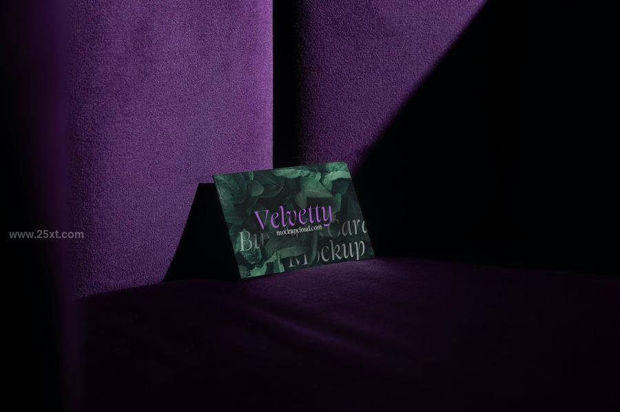 25xt-163611 Business-Cards-Mockups--Velvetty-Seriesz11.jpg