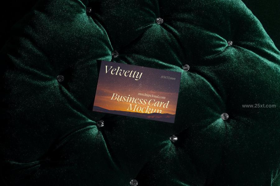 25xt-163611 Business-Cards-Mockups--Velvetty-Seriesz3.jpg