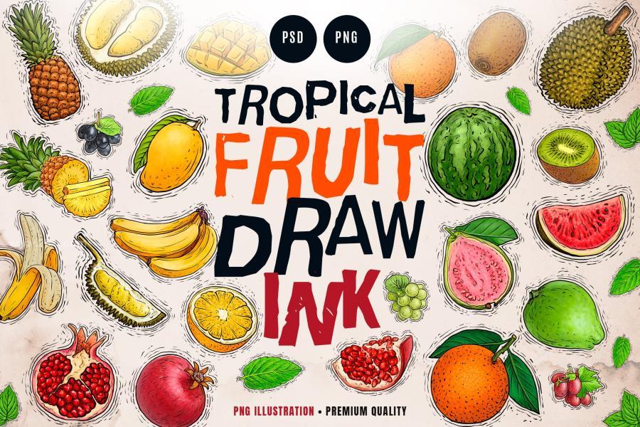 25xt-163774 Tropical-Fruit-Illustrationz2.jpg