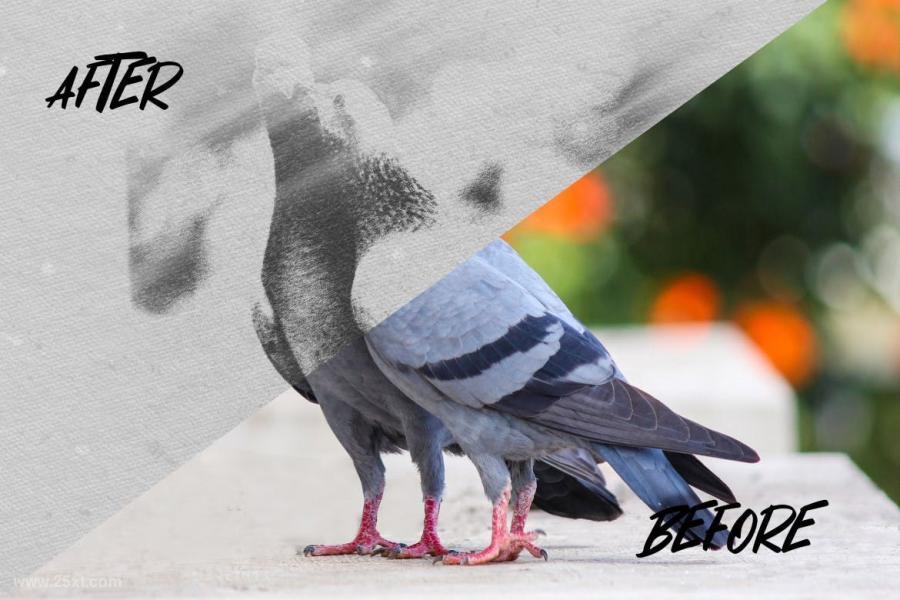 25xt-486707 Pencil-art-photo-effect-for-photoshopz5.jpg