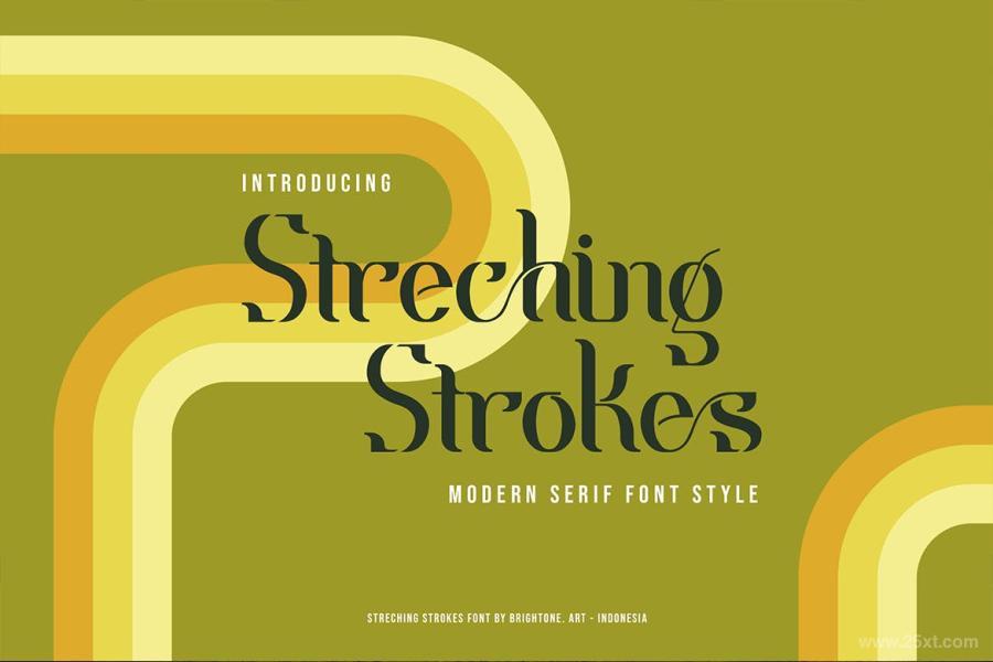 25xt-487107 Streching-Strokes---Classic-Stylez2.jpg