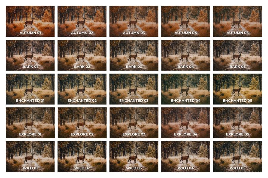25xt-487309 25-Rustic-Forest-Lightroom-Presets-and-LUTsz9.jpg