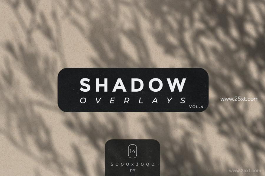 25xt-487362 Shadow-Overlays-Vol4z2.jpg