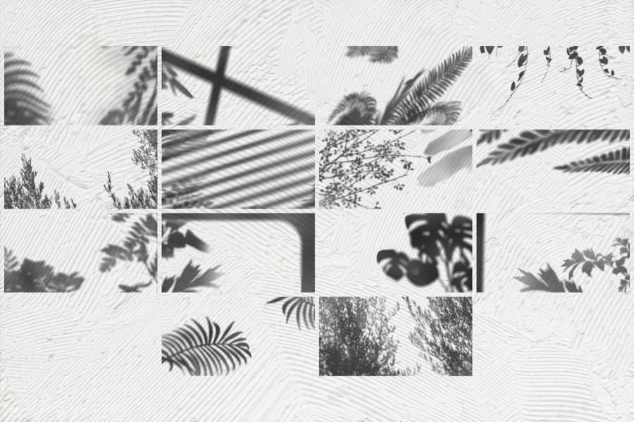 25xt-487363 Shadow-Overlays-Vol3z3.jpg