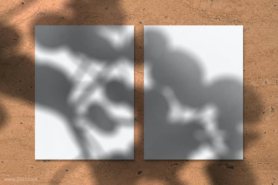 25xt-487365 Shadow-Overlays-Vol5z4.jpg