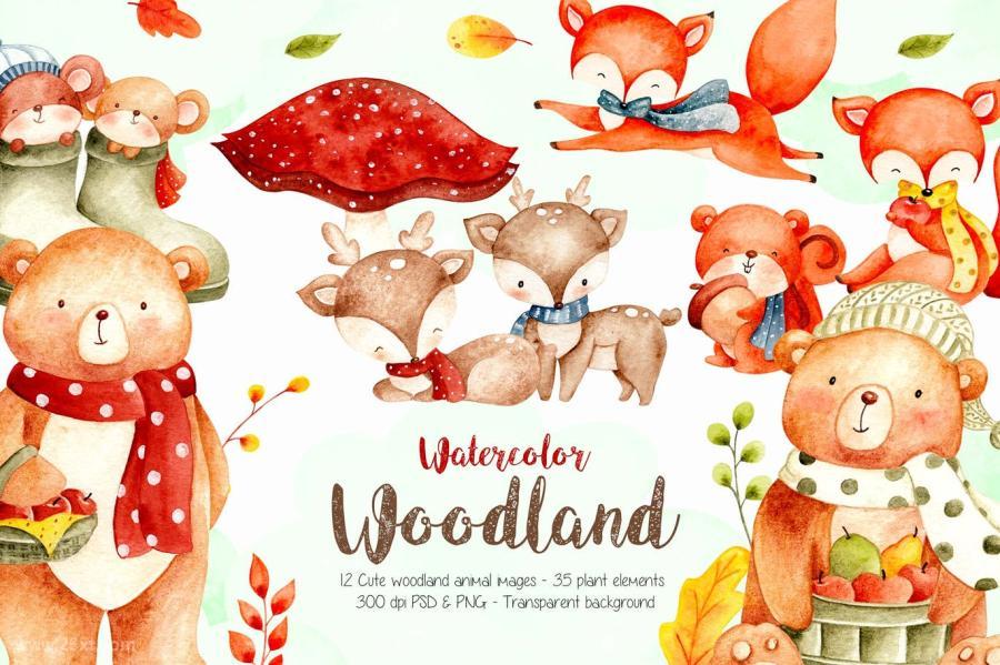25xt-487402 Watercolor-Illustration-Woodland-Animalsz2.jpg