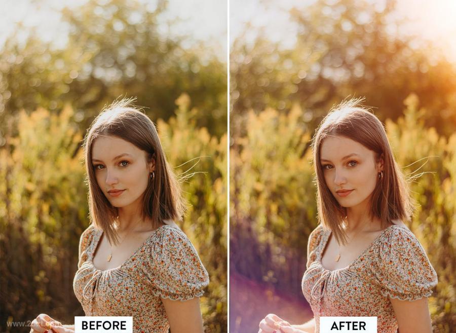 25xt-486923 30-Real-Sunlight-Overlayz4.jpg