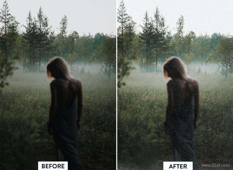 25xt-486931 30-Dust-and-Scratches-Overlaysz3.jpg