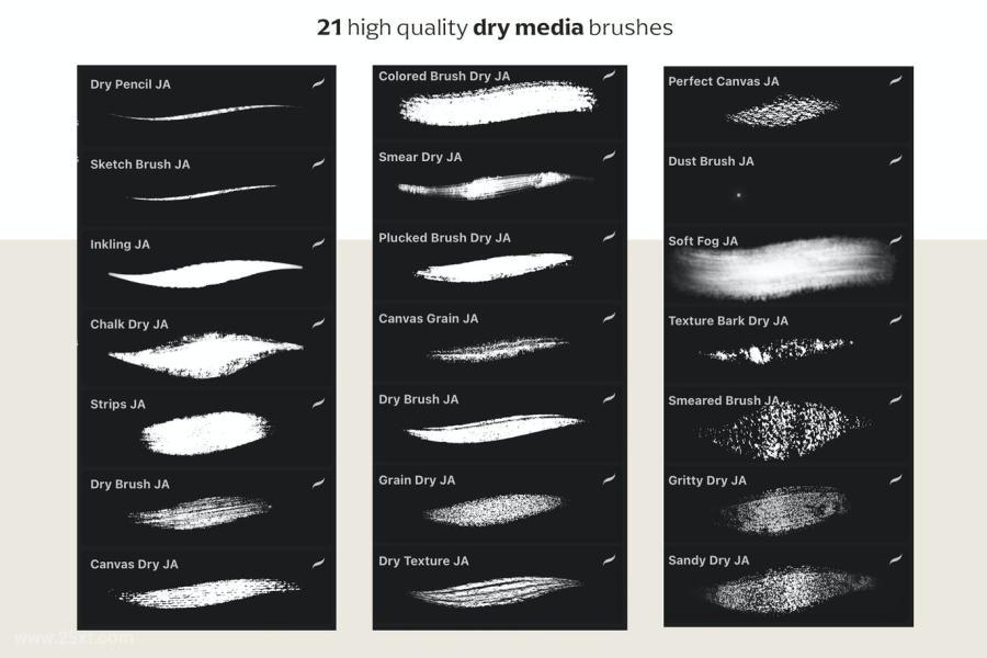 25xt-486981 Procreate-Dry-Media-Brushesz11.jpg