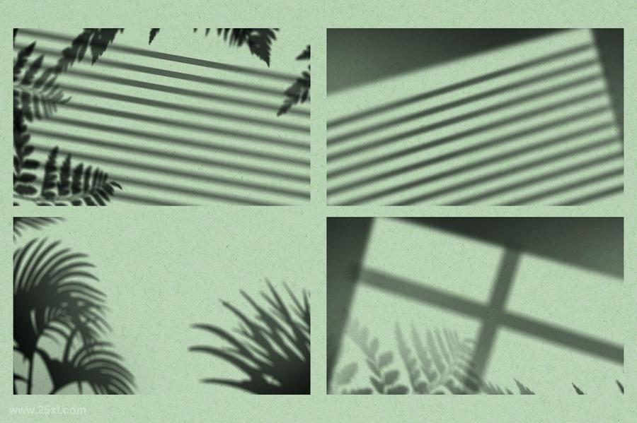 25xt-487047 Shadow-Overlays-Vol2z3.jpg