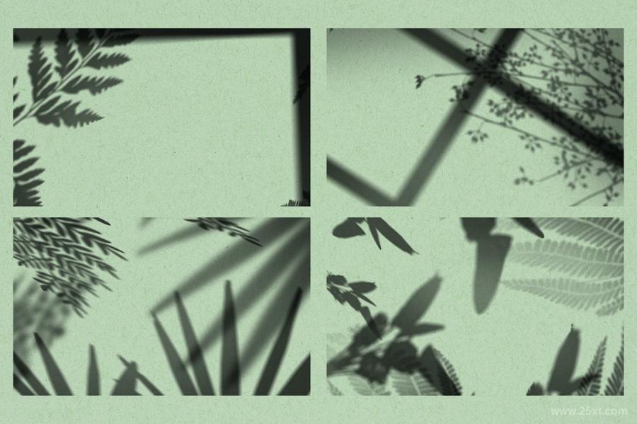 25xt-487047 Shadow-Overlays-Vol2z4.jpg