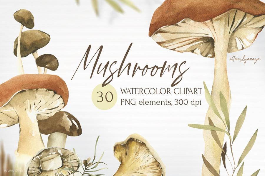 25xt-487676 Watercolor-Mushrooms-clipart,-autumn-png-elementsz2.jpg