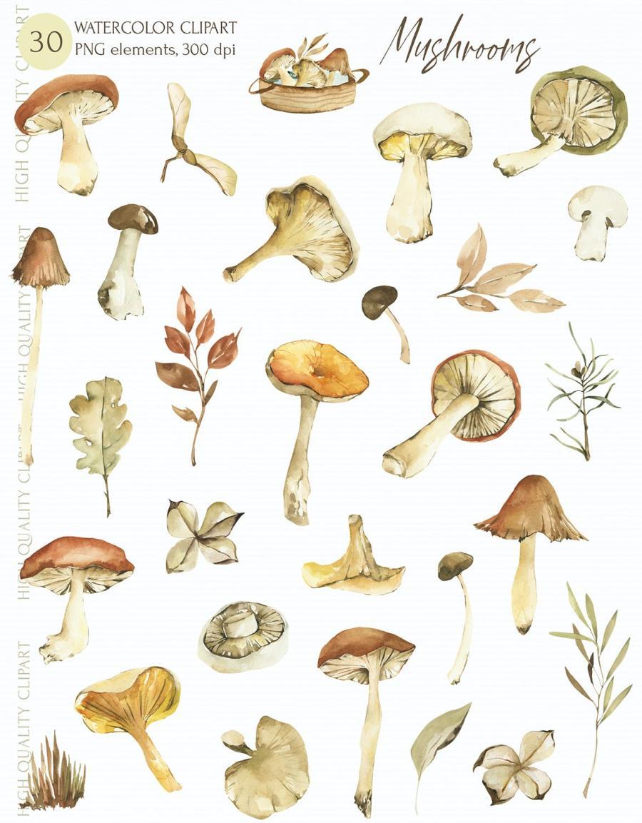 25xt-487676 Watercolor-Mushrooms-clipart,-autumn-png-elementsz4.jpg