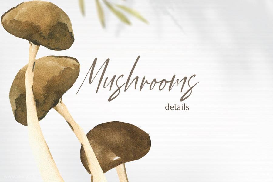 25xt-487676 Watercolor-Mushrooms-clipart,-autumn-png-elementsz5.jpg