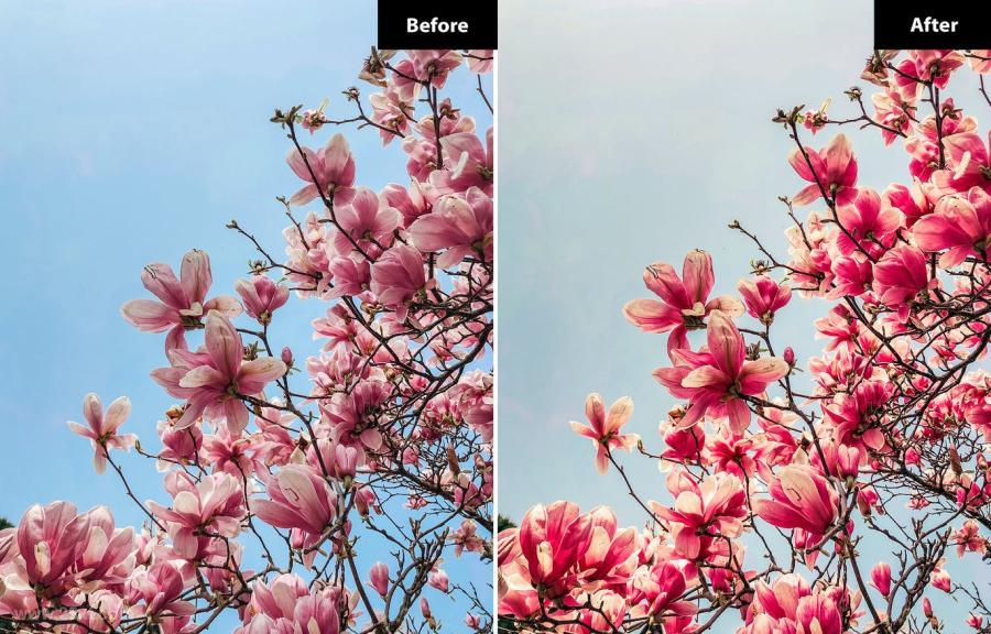 25xt-487712 5-Spring-Lightroom-and-Photoshopz3.jpg