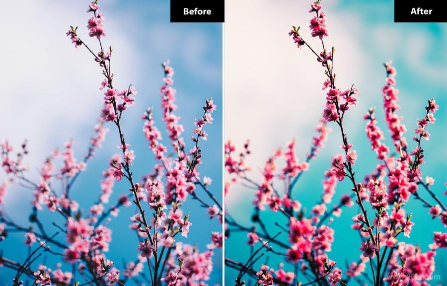 25xt-487712 5-Spring-Lightroom-and-Photoshopz9.jpg