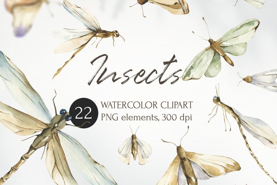 25xt-487754 Watercolor-Insects-clipart,-trendy-png-elementsz2.jpg