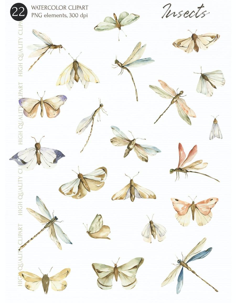 25xt-487754 Watercolor-Insects-clipart,-trendy-png-elementsz3.jpg