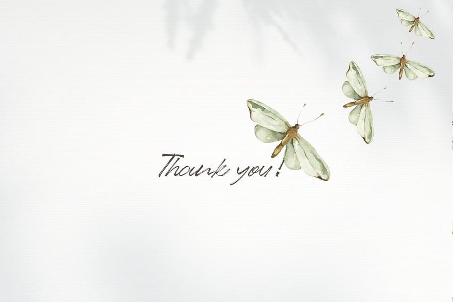 25xt-487754 Watercolor-Insects-clipart,-trendy-png-elementsz4.jpg