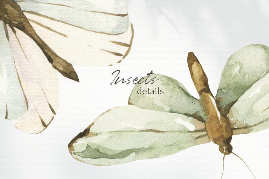 25xt-487754 Watercolor-Insects-clipart,-trendy-png-elementsz6.jpg