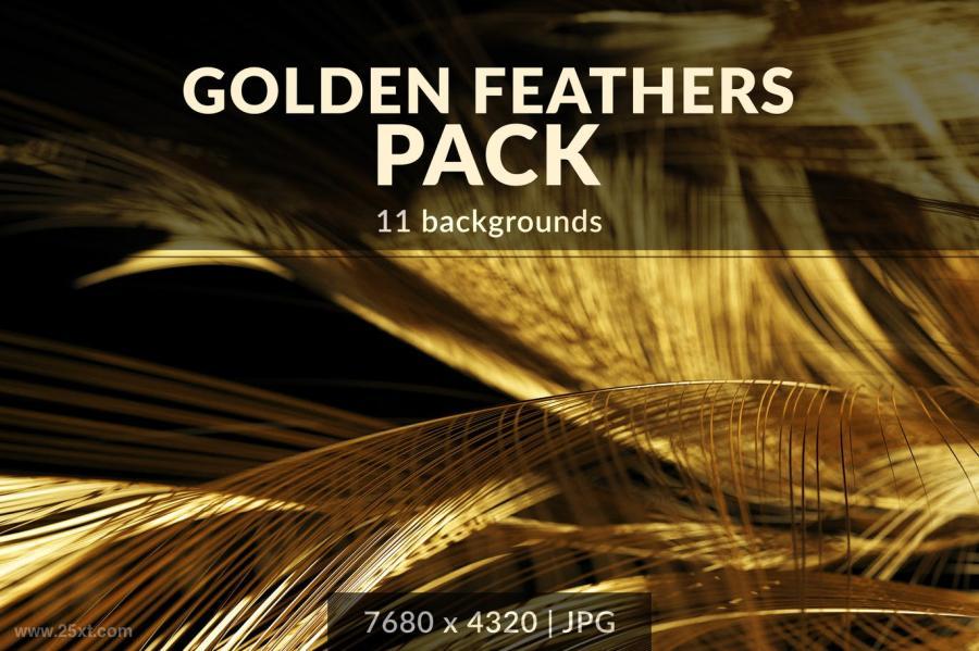 25xt-487778 Golden-Feathers-Backgrounds-Packz2.jpg