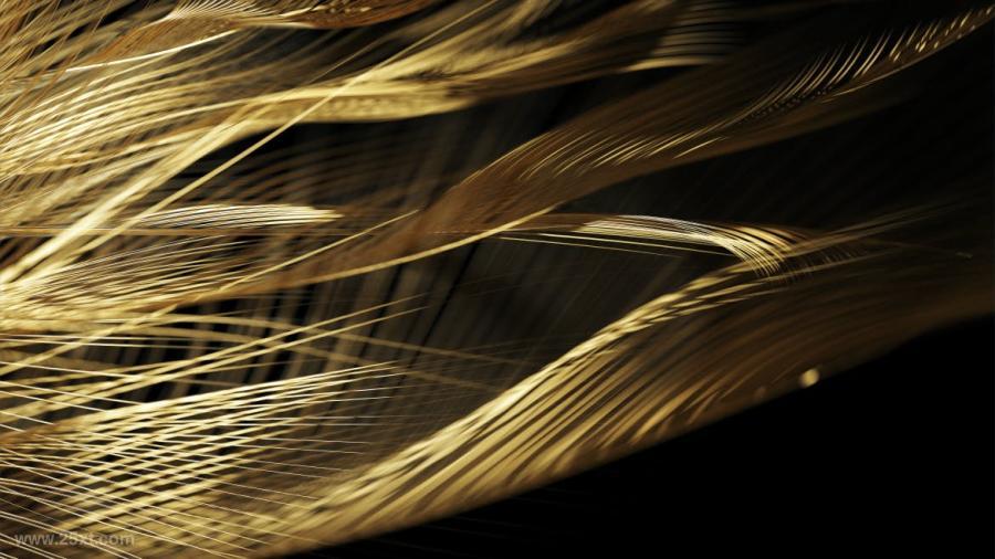 25xt-487778 Golden-Feathers-Backgrounds-Packz3.jpg