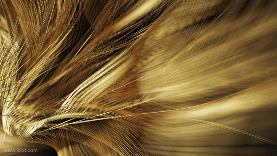 25xt-487778 Golden-Feathers-Backgrounds-Packz4.jpg