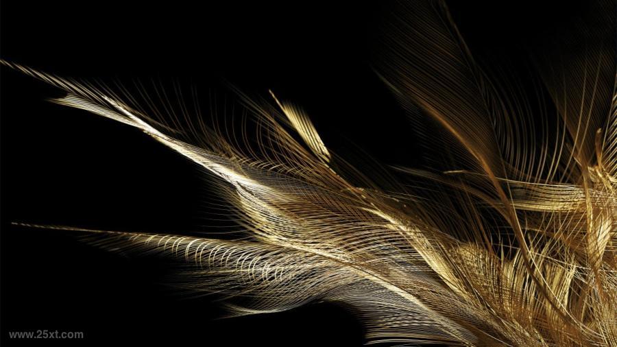 25xt-487778 Golden-Feathers-Backgrounds-Packz5.jpg