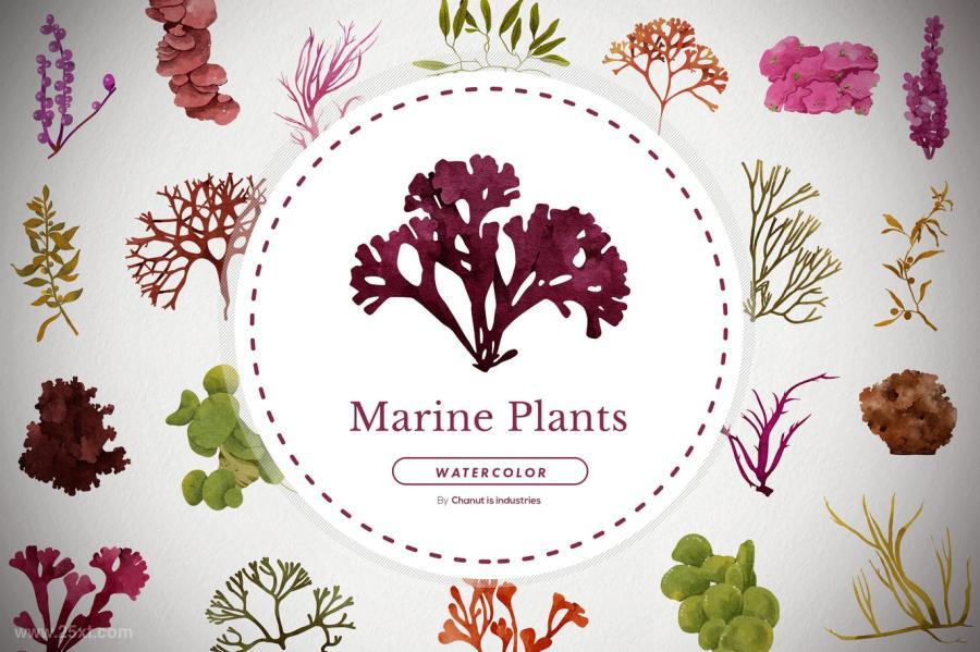 25xt-487790 50-Marine-and-Underwater-Plant-Watercolor-Packz2.jpg