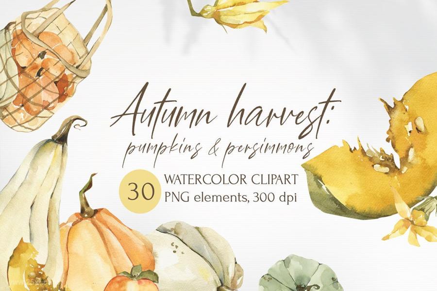 25xt-487794 Watercolor-Autumn-clipart-pumpkin-elements-pngz2.jpg