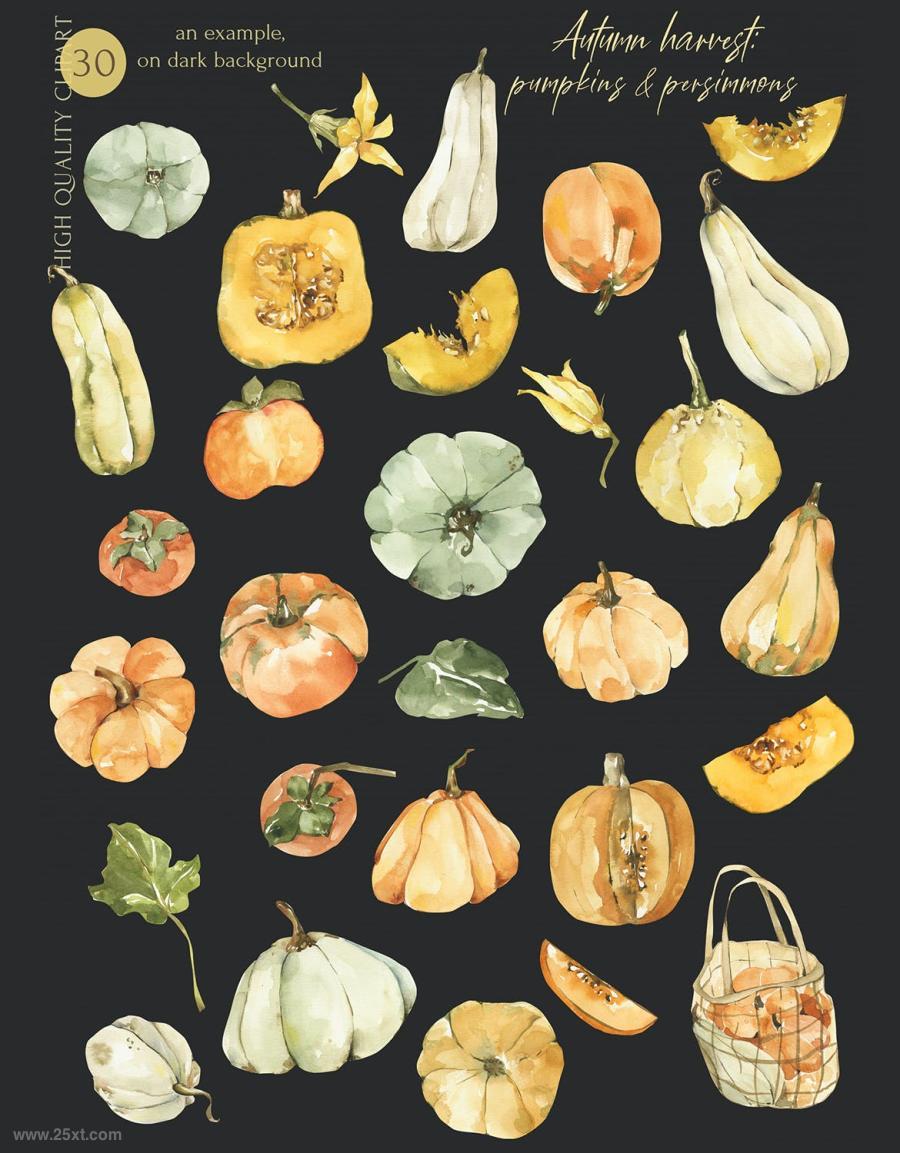 25xt-487794 Watercolor-Autumn-clipart-pumpkin-elements-pngz3.jpg
