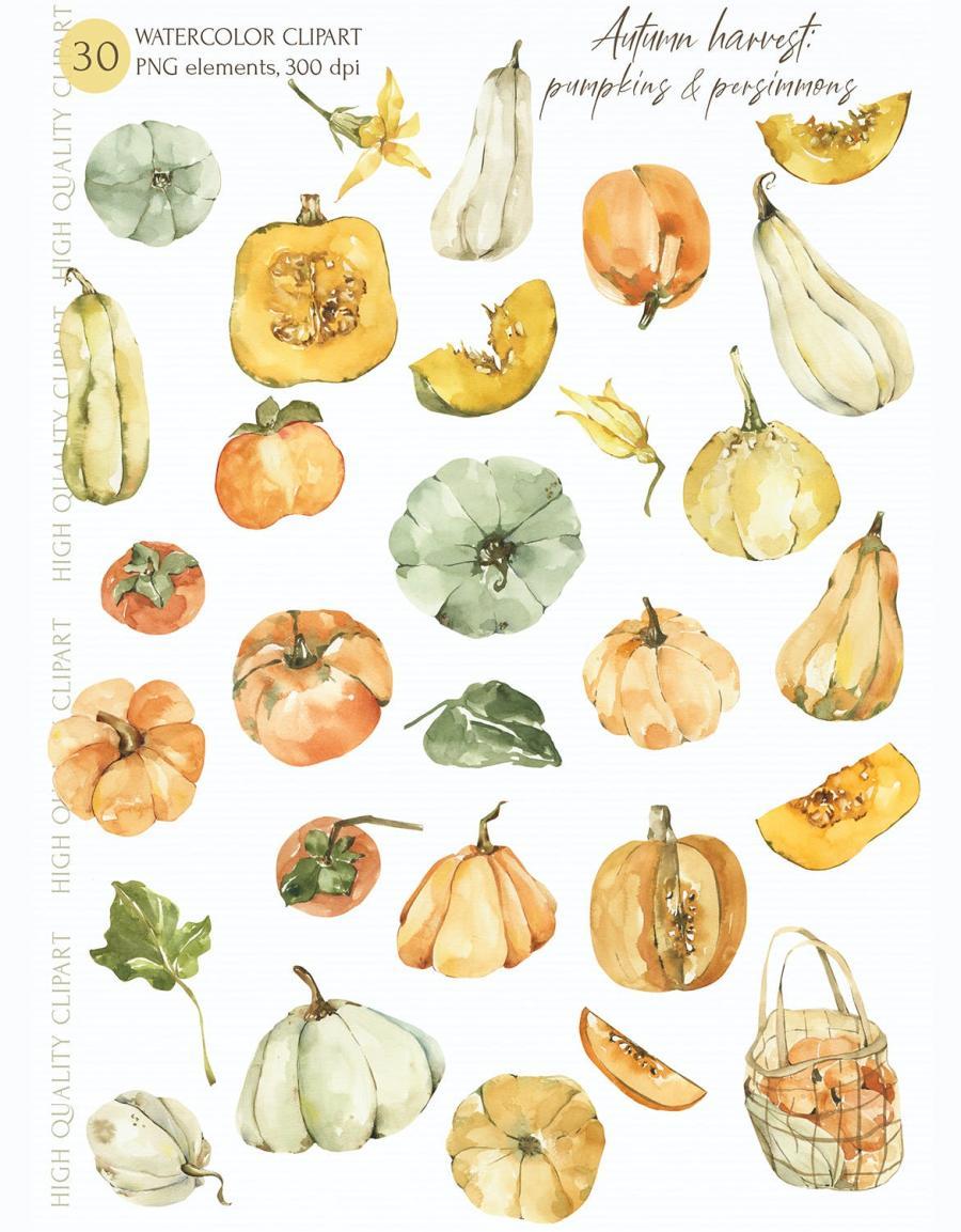 25xt-487794 Watercolor-Autumn-clipart-pumpkin-elements-pngz7.jpg