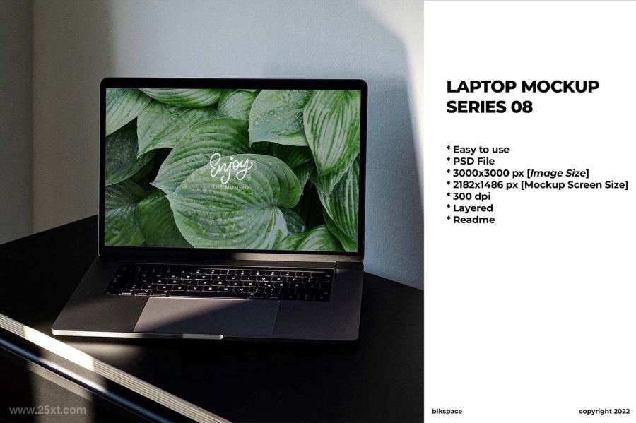 25xt-487851 Laptop-Mockup-Series-08z2.jpg