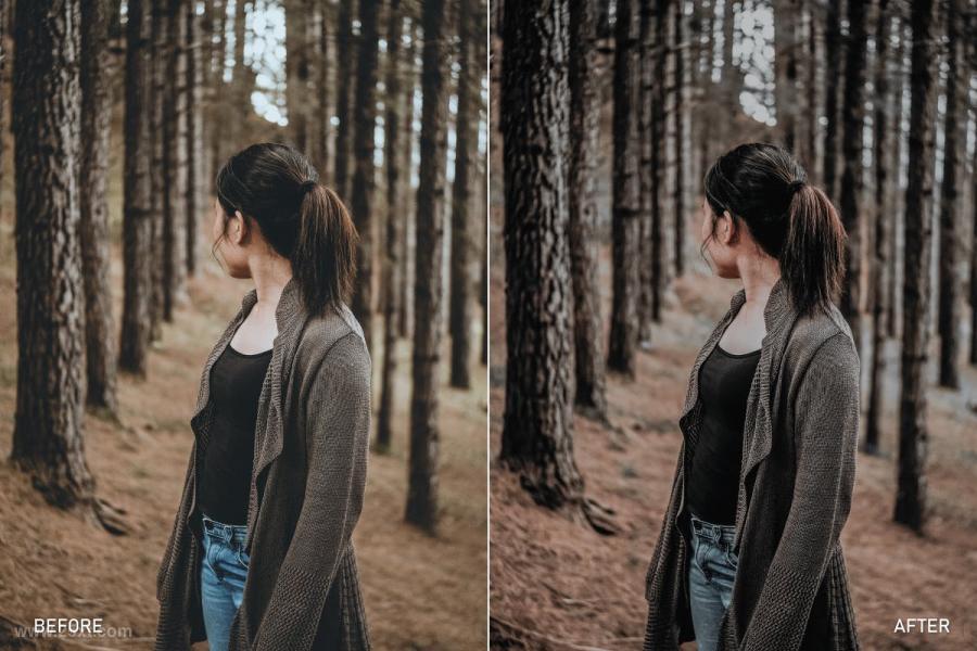 25xt-487983 Aesthetic-Dark-Lightroom-Presets--LUTsz4.jpg