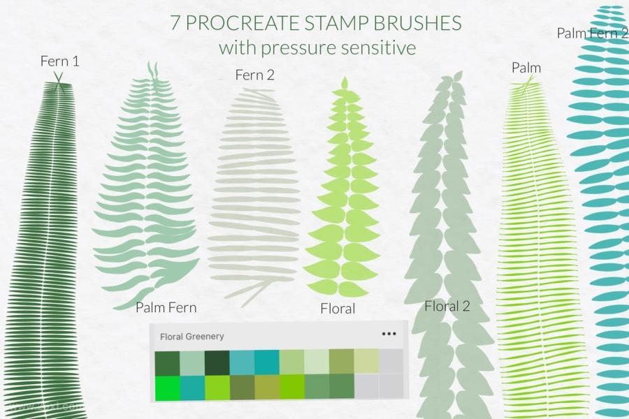 25xt-487986 Fern-palm-Procreate-brushes,-exotic-jungle-brushesz3.jpg