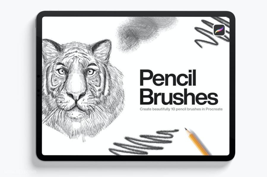 25xt-487989 10-Pencil-Brushes-Procreatez2.jpg