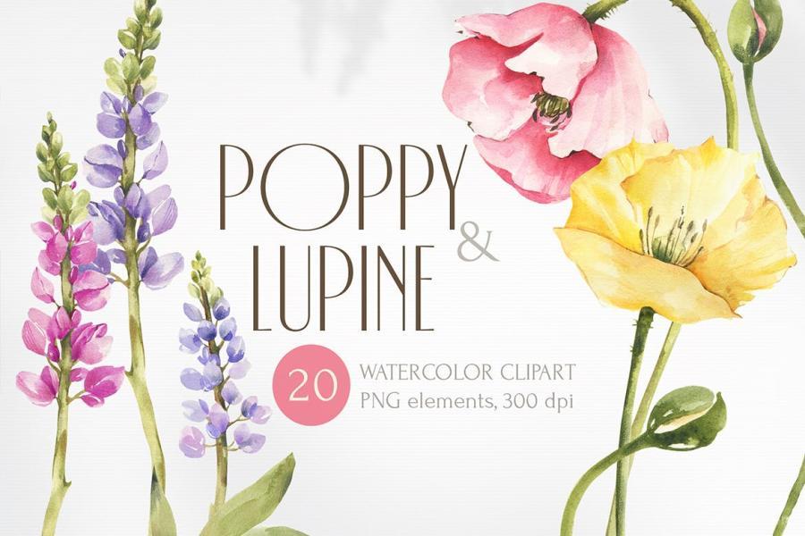 25xt-488009 Watercolor-Poppy-clipart-Summer-png-collectionz2.jpg