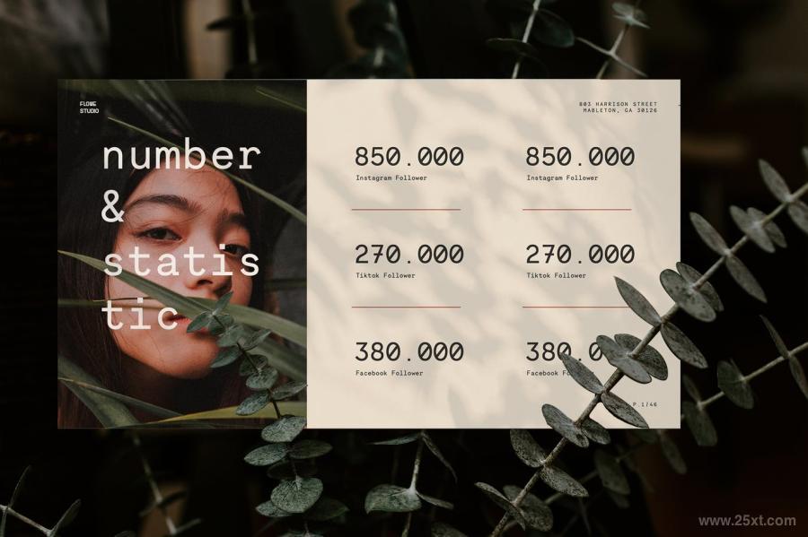 25xt-487613 Flowe---Media-Kit-PowerPoint-Templatez7.jpg