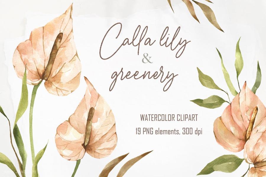 25xt-488274 Watercolor-Calla-lily-and-greenery-clipart-in-pngz2.jpg