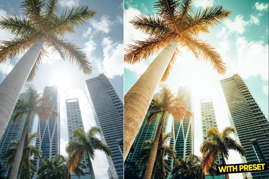 25xt-488349 ARTA---Miami-Blue-Presets-for-Lightroomz6.jpg