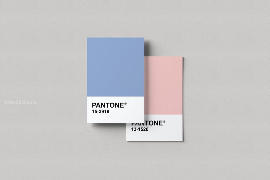 25xt-488361 Pantone-Card-Mockupsz3.jpg