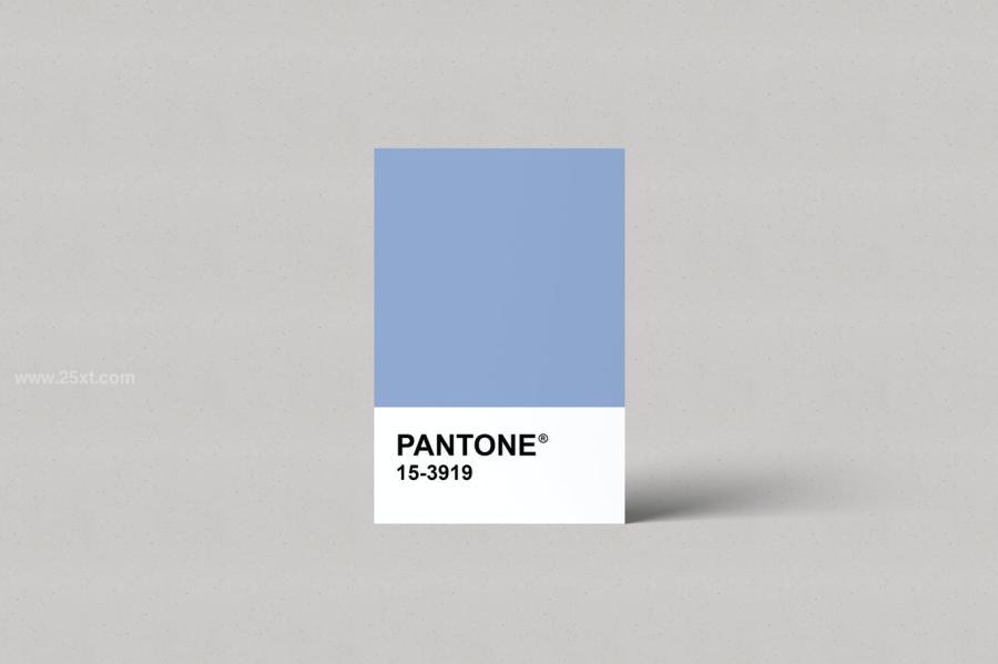 25xt-488361 Pantone-Card-Mockupsz4.jpg