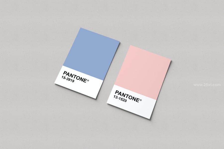 25xt-488361 Pantone-Card-Mockupsz5.jpg