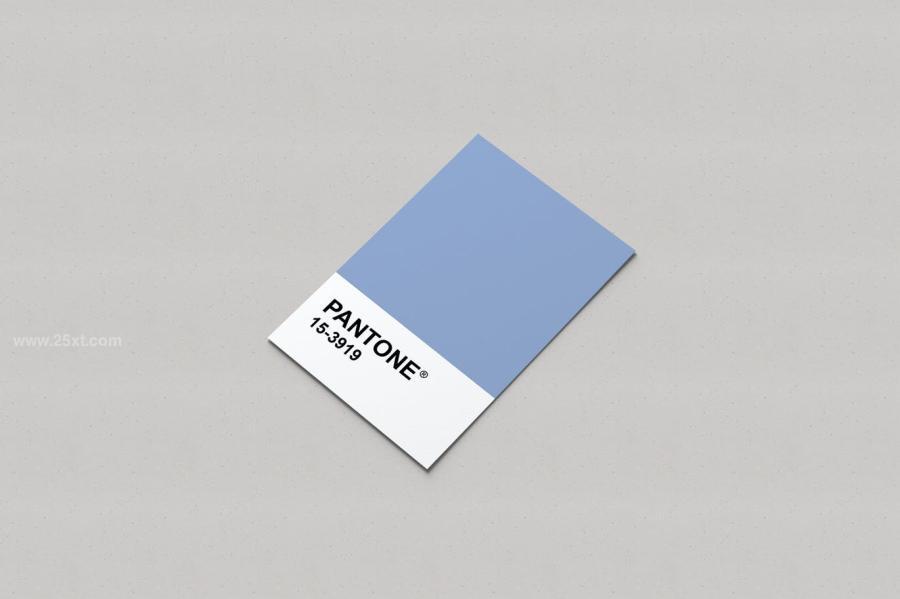 25xt-488361 Pantone-Card-Mockupsz6.jpg